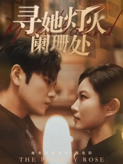 寻她灯火阑珊处（61集）