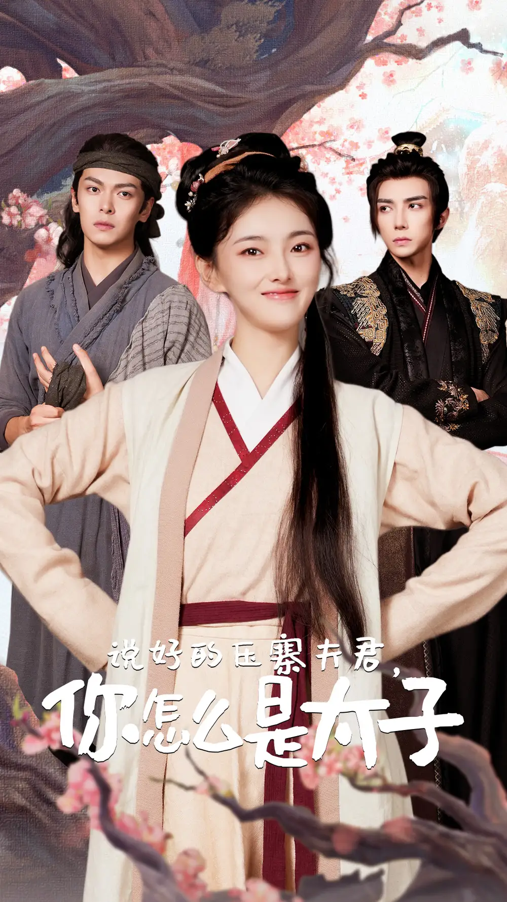 说好的压寨夫君，你怎么是太子（65集）