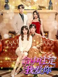 命中注定我爱你（99集）