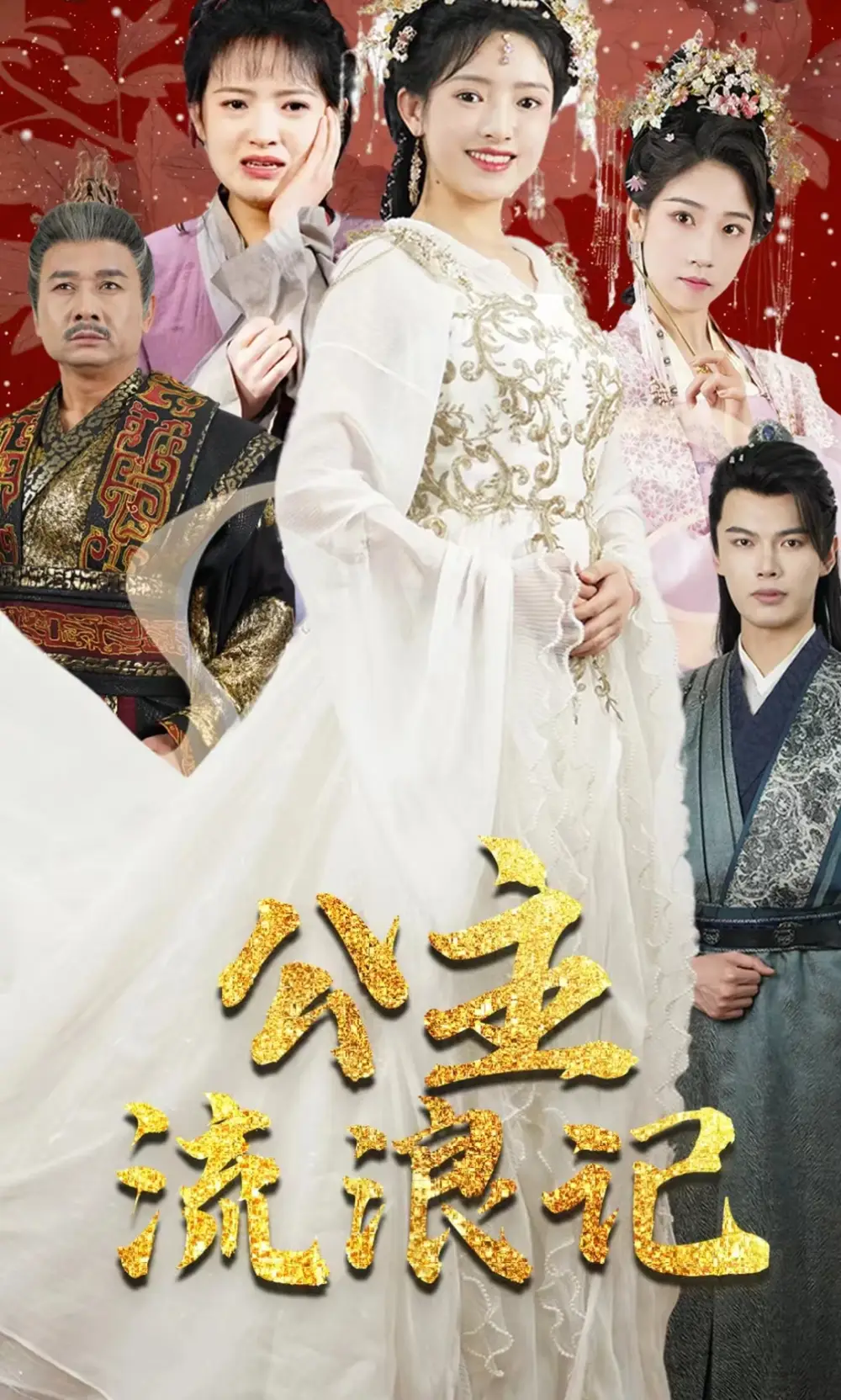 公主流浪记（91集)