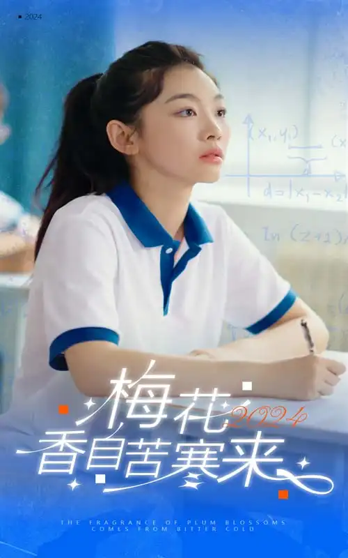 梅花香自苦寒来(64集)