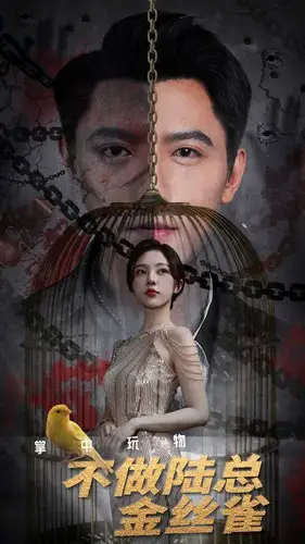 掌中玩物不做陆总金丝雀（90集）朱茉颜