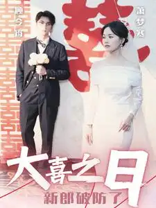 大喜之日新郎破防了(31集)