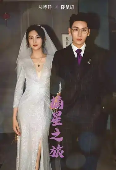 摘星之旅（88集）