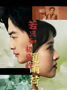 若只如初见的夏雨荷（90集）