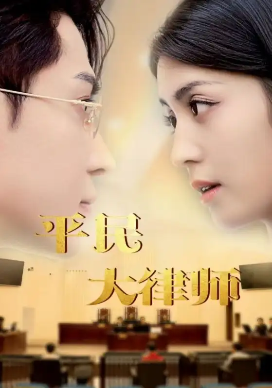 平民大律师(95集)