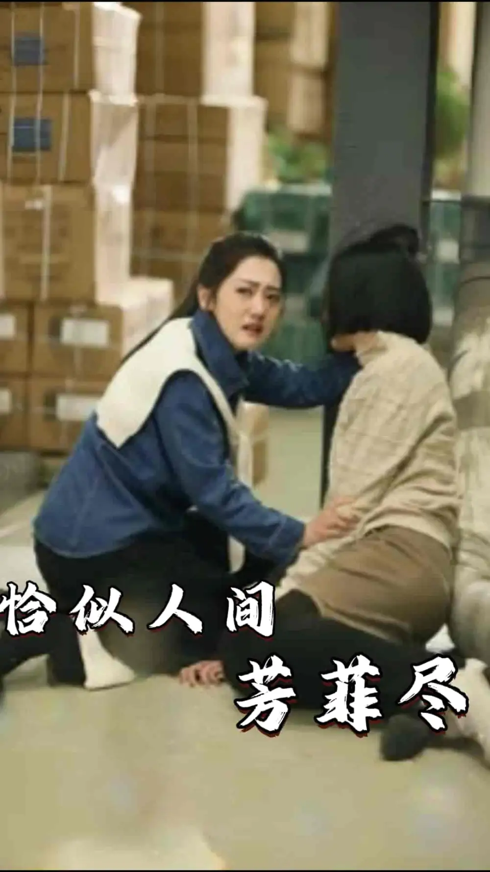 恰似人间芳菲尽（68集）