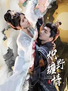 炽野缠情(95集)