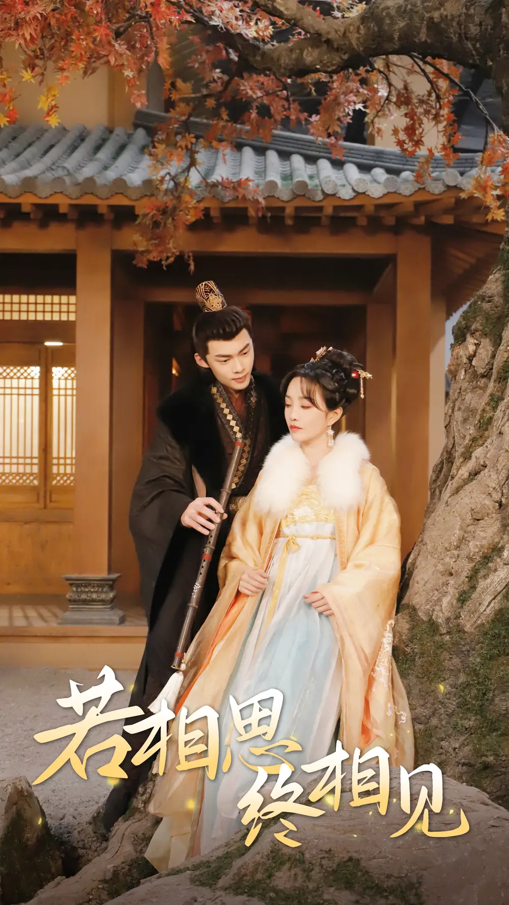 若相思，终相见&侯爷的双世小悍妻（85集）