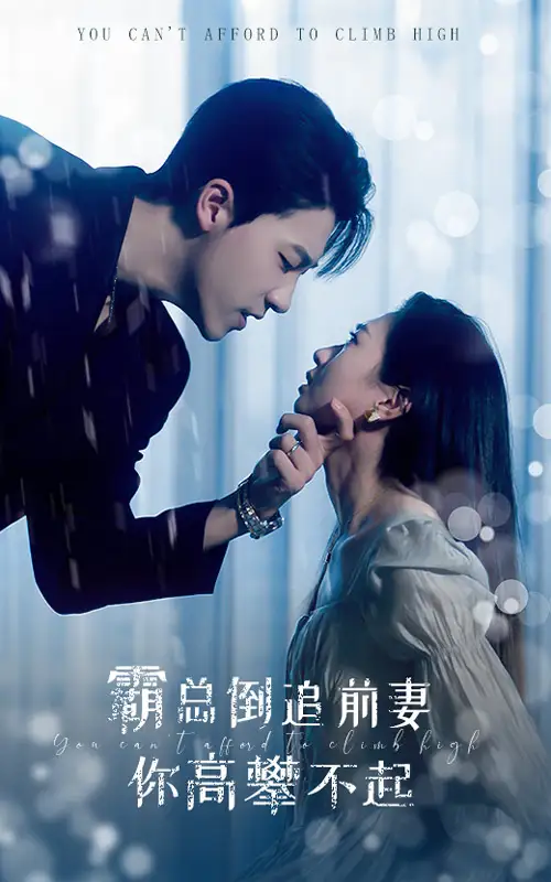 霸总倒追前妻你高攀不起（81集）鲍芝悦