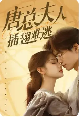 唐总夫人不好惹（96集）