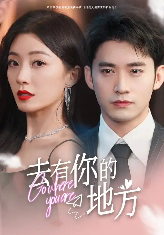 去有你的地方（74集）