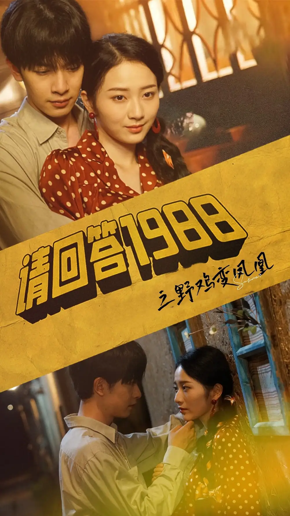 请回答1988之野鸡变凤凰(81集)