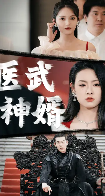 医武神婿（90集）