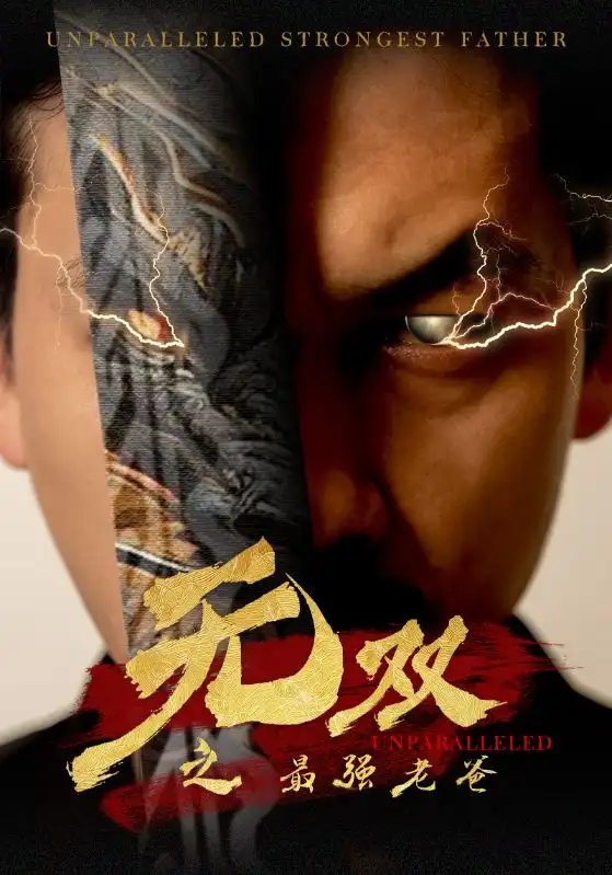 无双之最强老爸(60集)