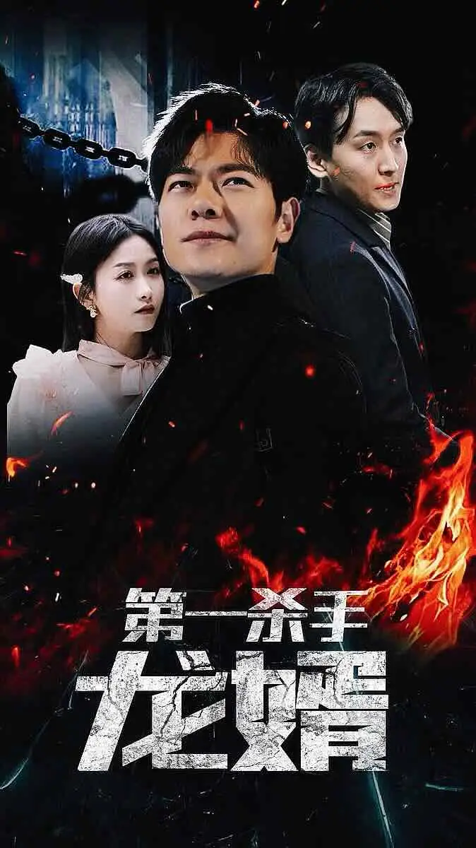 第一杀手龙婿（100集）