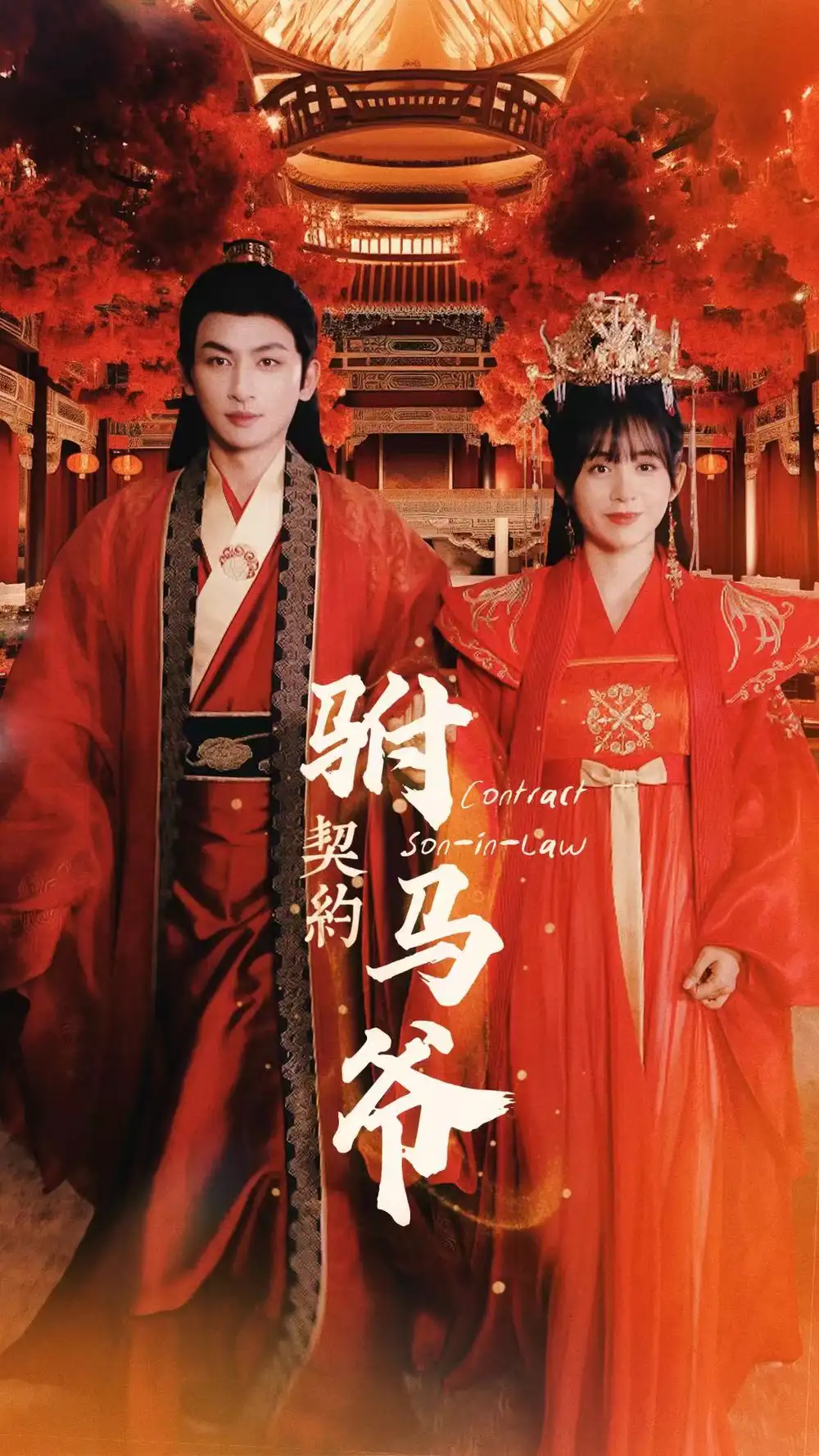 契约驸马爷(74集)