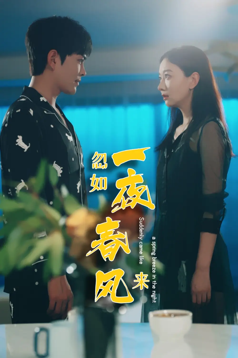 忽如一夜春风来(28集)徐江帅