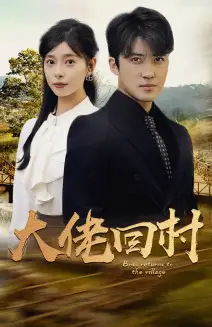 大佬回村（70集）