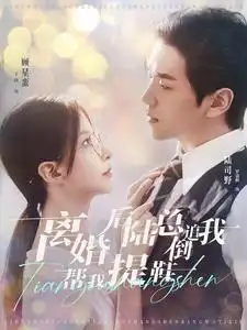 离婚后陆总倒追我帮我提鞋（100集）丁晓