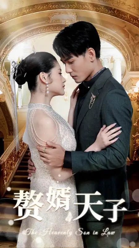 赘婿天子（91集）