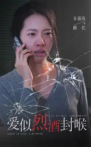 爱似烈酒封喉(34集)