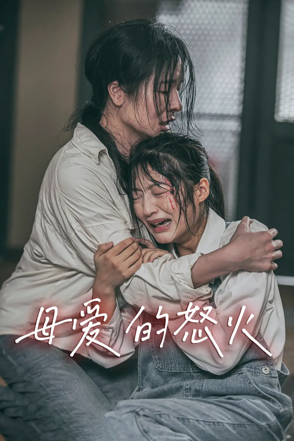 母爱的怒火（28集）