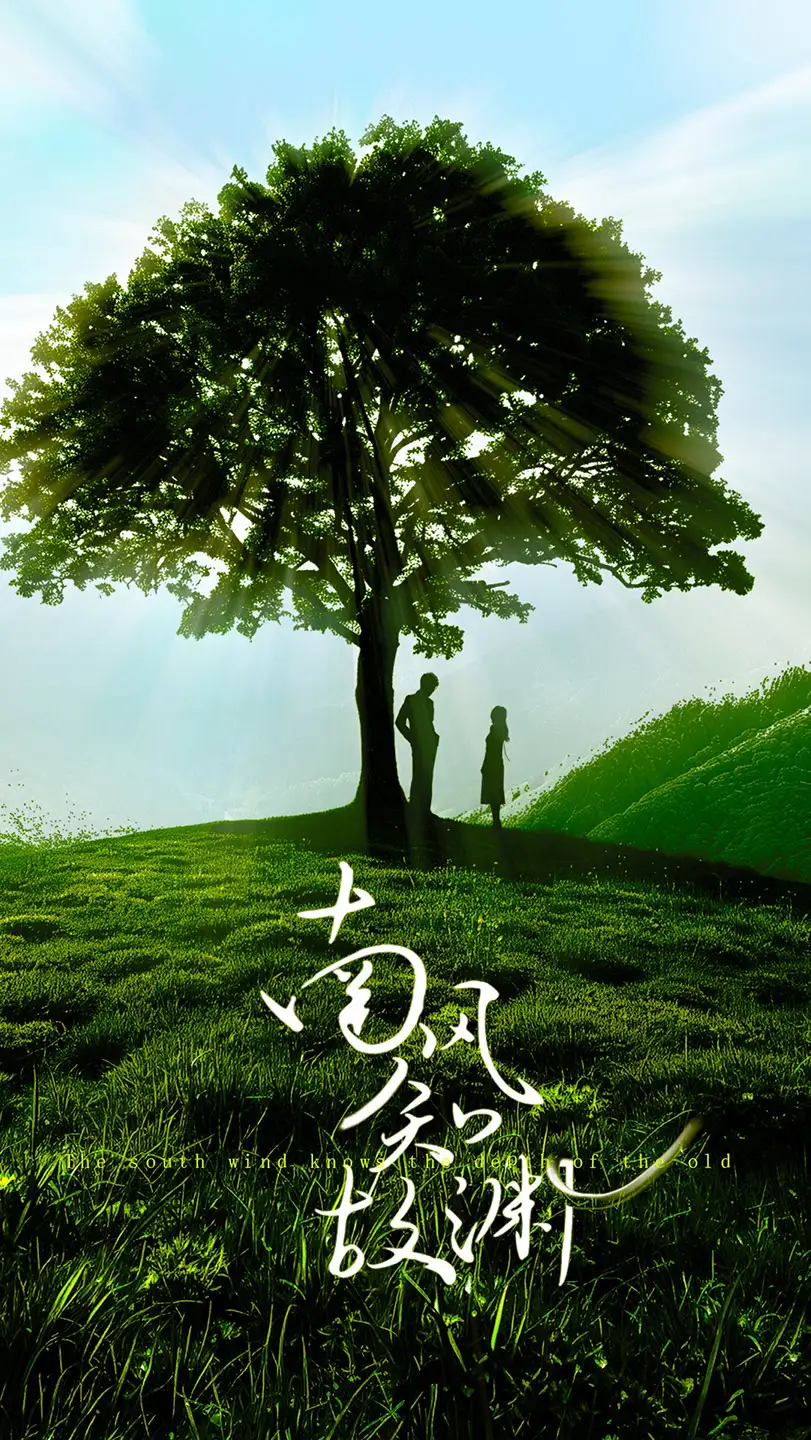 皎皎南风星&南风知故渊(80集)