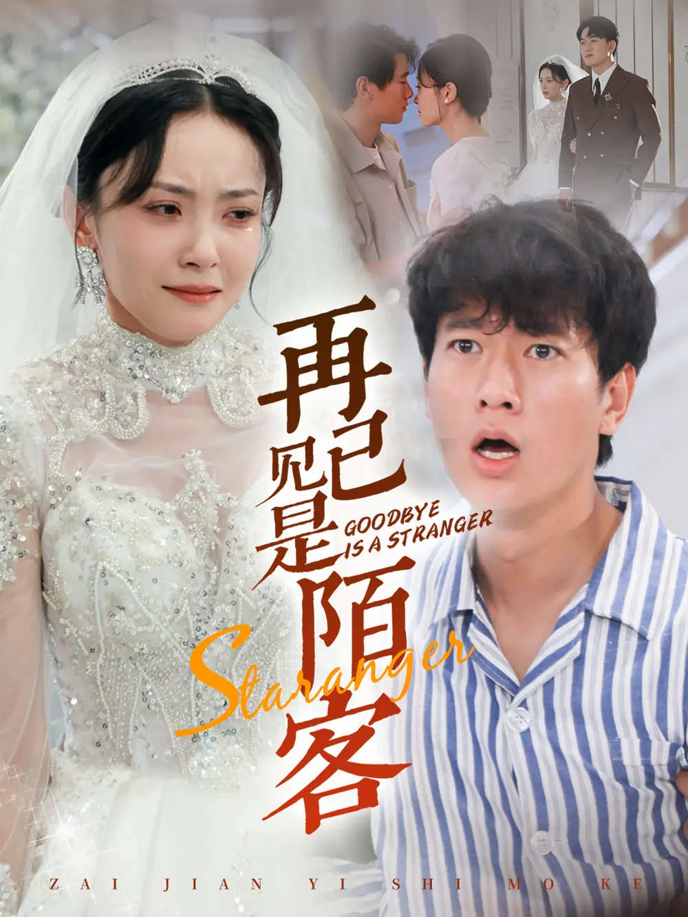 再见已是陌客（55集）张子安