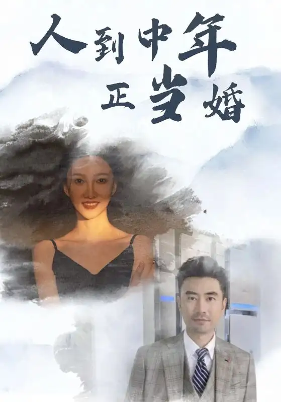 人到中年正当婚(81集)