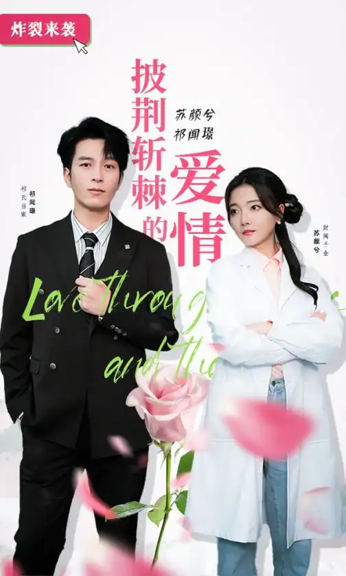 披荆斩棘的爱情（90集）