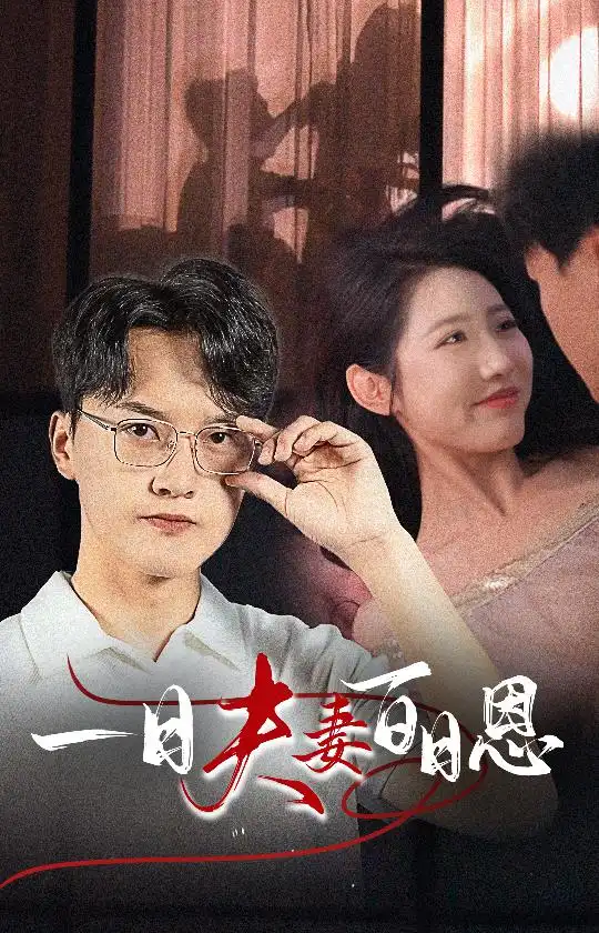 一日夫妻百日恩（30集）