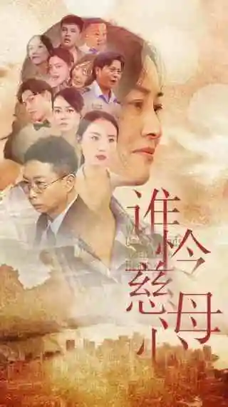 谁怜慈母心(46集)