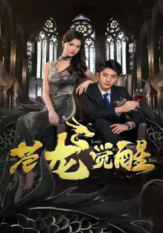 苍龙觉醒（100集）