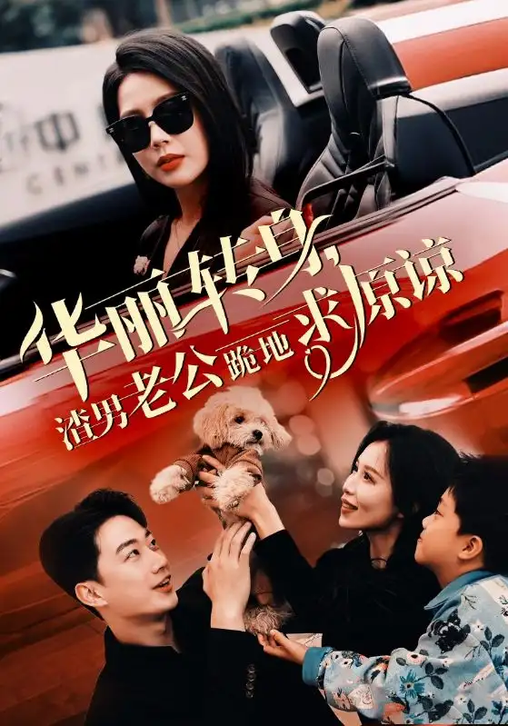 华丽转身,渣男老公跪地求原谅(30集)丁海霞