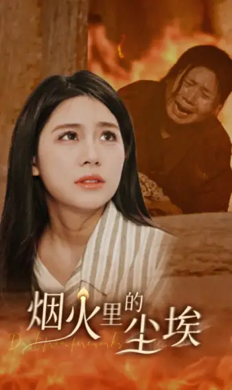 烟火里的尘埃（70集）