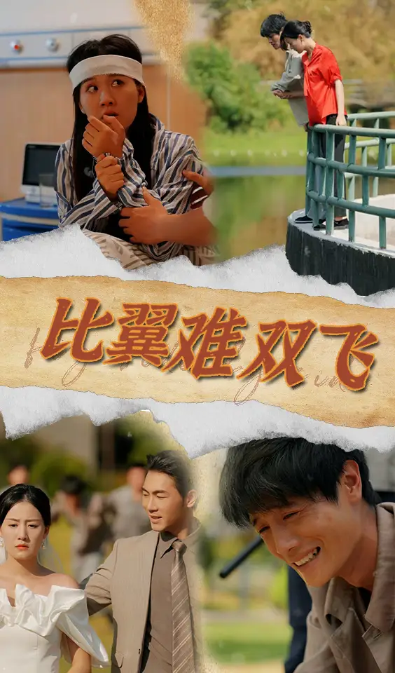 比翼难双飞(30集)