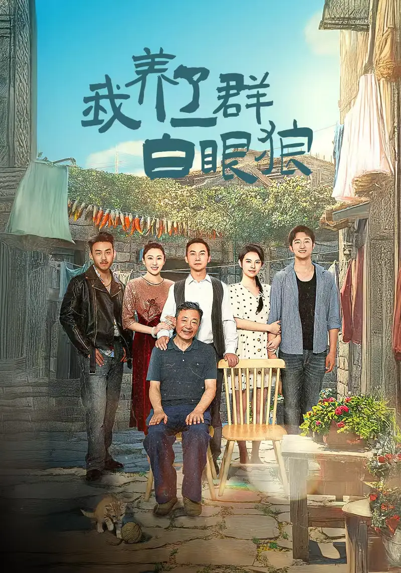 我养了一群白眼狼&家家有本难念的经（34集）