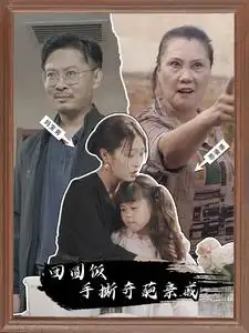 团圆饭手撕奇葩亲戚(40集)