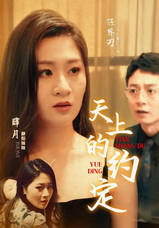 天上的约定(24集)
