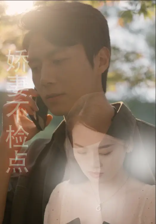 娇妻不检点（87集）