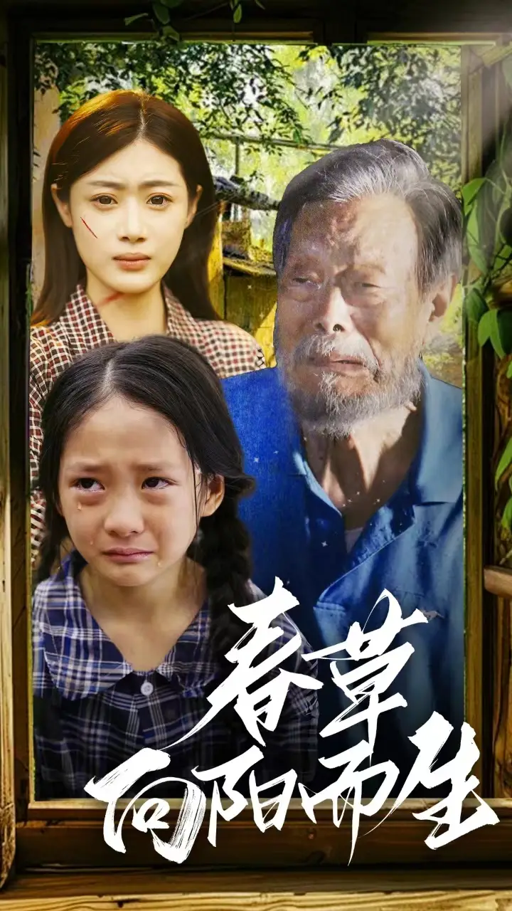 春草向阳而生(53集)