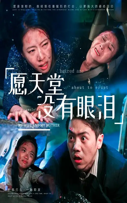 愿天堂没有眼泪(70集)