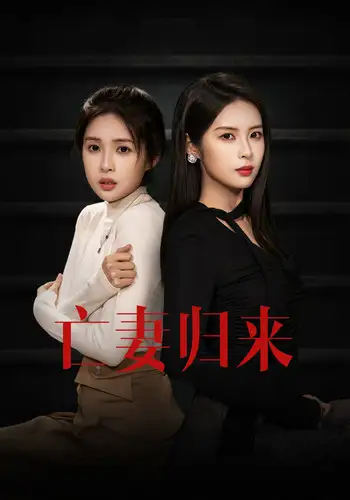 亡妻归来（85集）