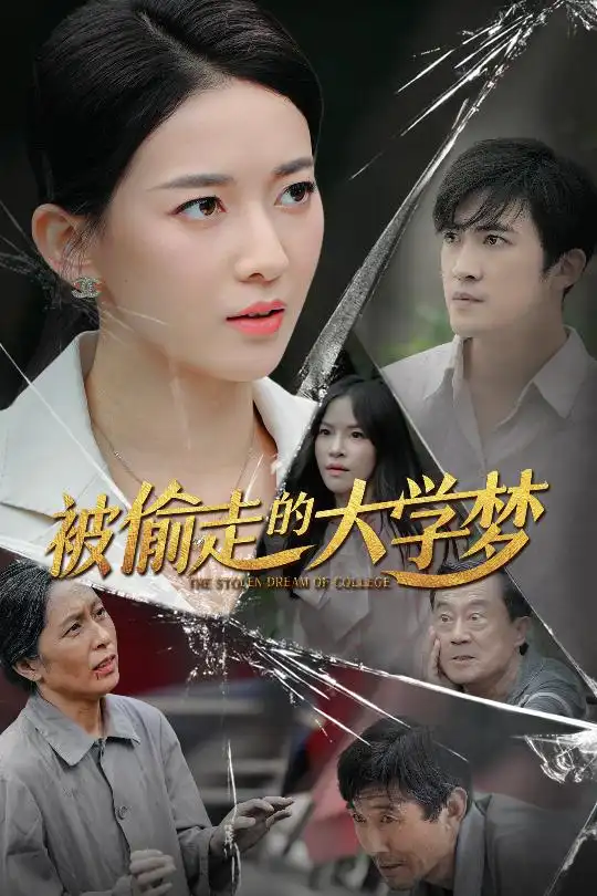被偷走的大学梦（71集）