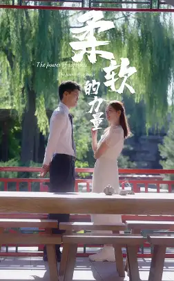 柔软的力量(80集)