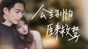 公主别怕，臣来救驾（90集）