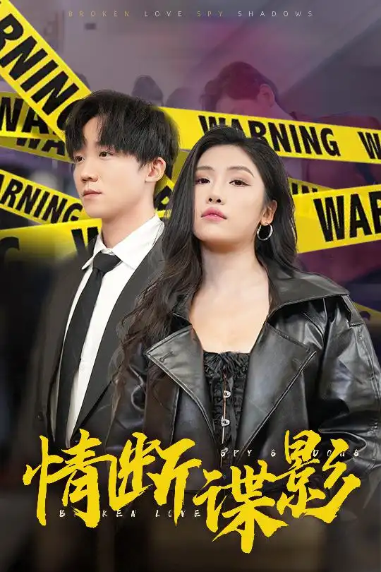 情断谍影（30集）骆虹宇