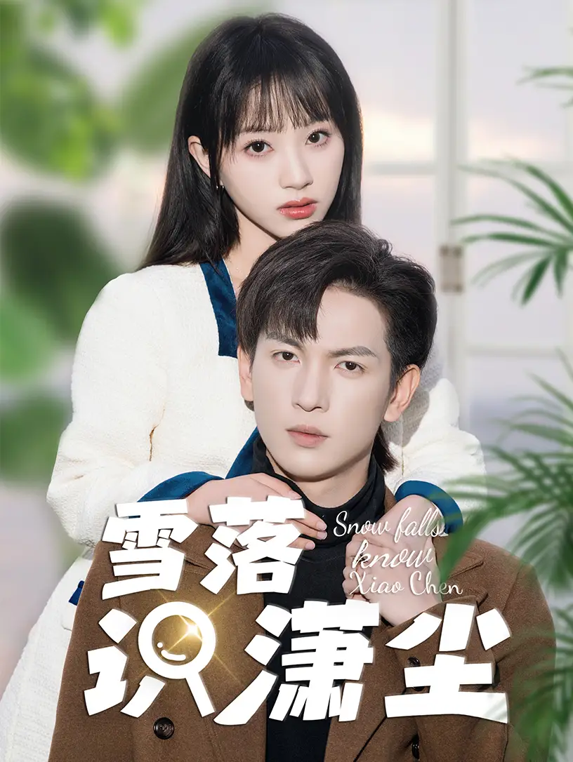 雪落识潇尘（80集）