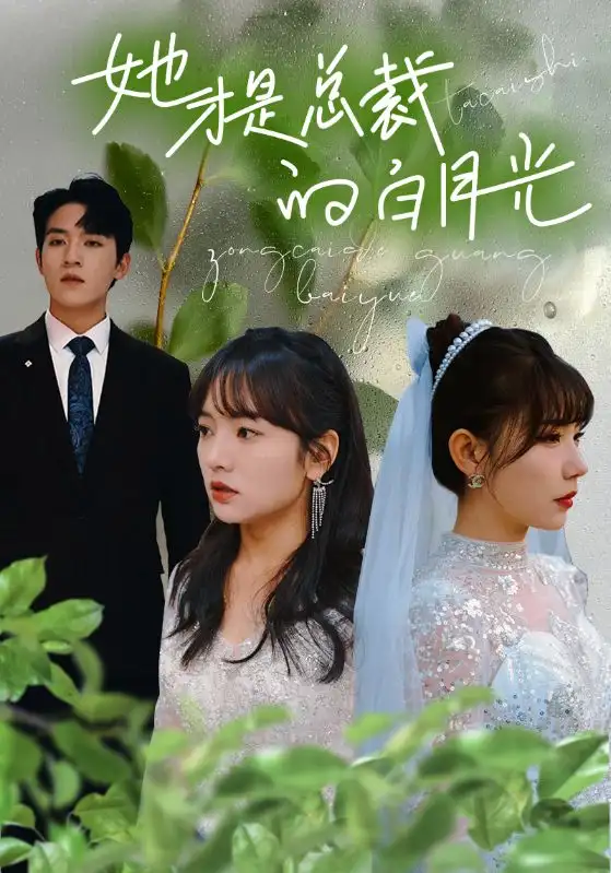 她才是总裁的白月光（90集）王子怡